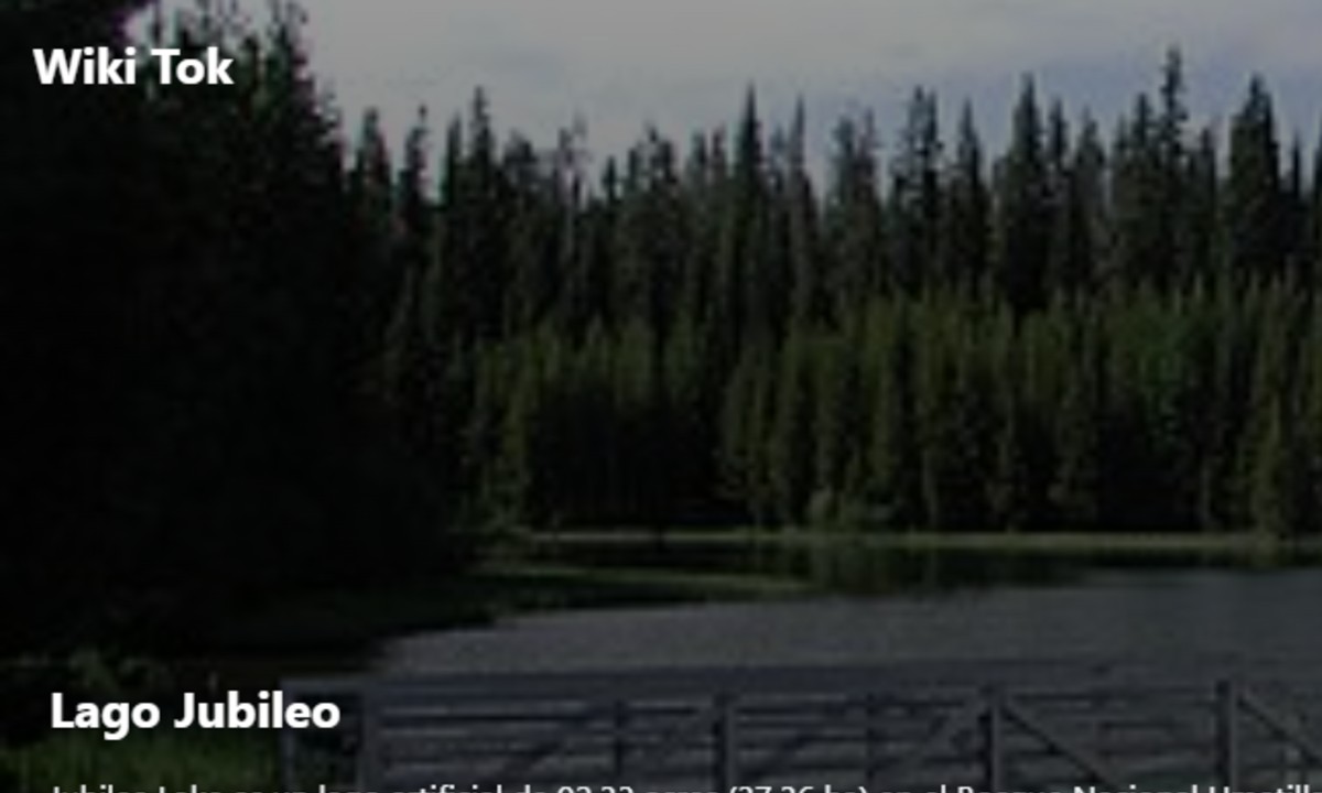 Lanzan Wikitok, la nueva plataforma para acceder a la información de Wikipedia sin filtros o algoritmos • Enter.co