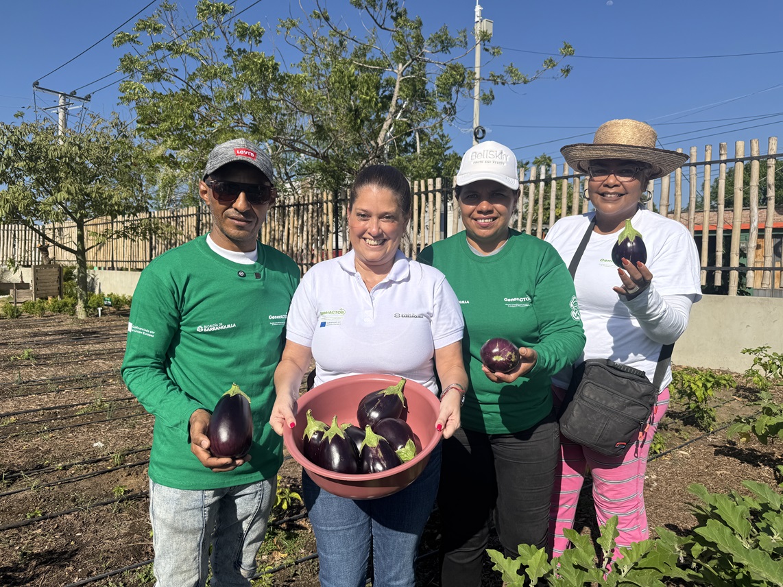 Se han cosechado 200 kilogramos de productos: la Oficina de Barranquilla de Alcalde, Distrito Especial, Industrial y Puerto