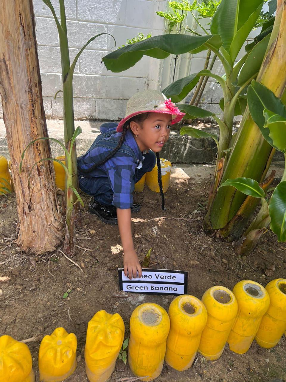 Barranquilla se une al Día Mundial del Medioambiente con actividades educativas y culturales en parques y colegios – Alcaldía de Barranquilla, Distrito Especial, Industrial y Portuario