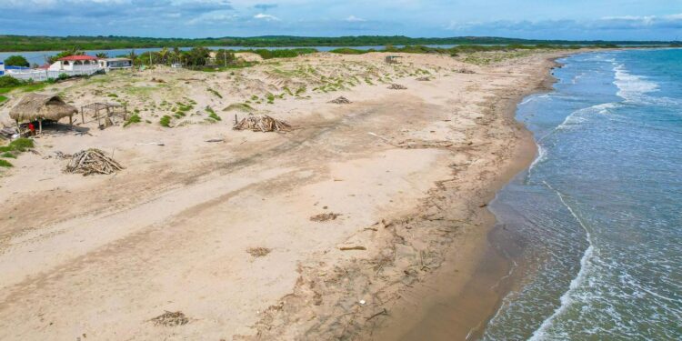 36 municipios costeros, a cumplir con Comités Locales para Organización de Playas