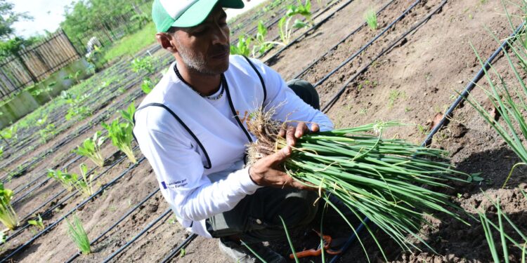 Barranquilla celebra el Día Mundial de la Agricultura fortaleciendo su compromiso con la seguridad alimentaria y el medioambiente – Alcaldía de Barranquilla, Distrito Especial, Industrial y Portuario