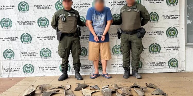 Capturan en Cartagena a ciudadano chino con 26 aletas de tiburón