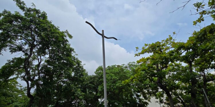 Distrito invita a alertar y denunciar el robo de luminarias del sistema de alumbrado público – Alcaldía de Barranquilla, Distrito Especial, Industrial y Portuario