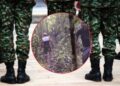 Intento de asonada en Putumayo: Ejército Nacional confirma enfrentamiento entre militares y civiles