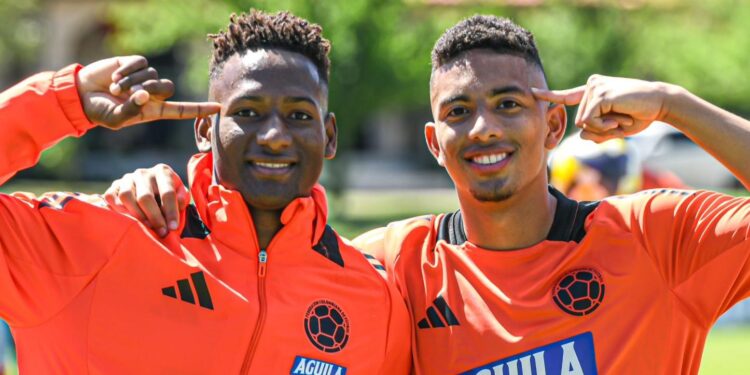 Selección Colombia definió sus 21 jugadores para el Mundial de Chile