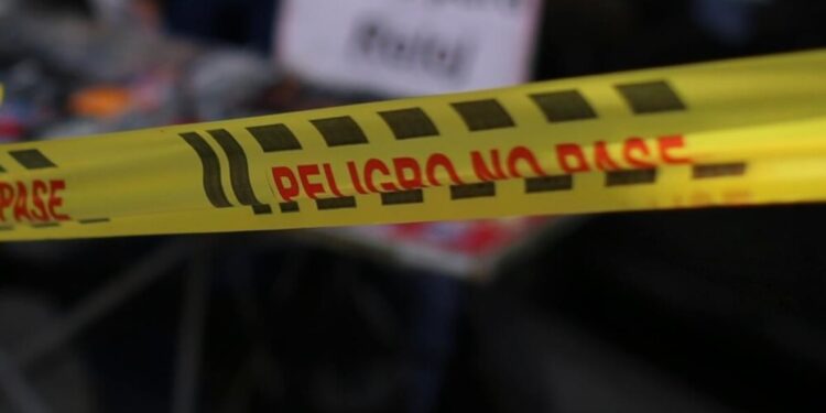 Una mujer murió tras accidente al llegar a casa: su perro salió a recibirla, la empujó y cayó por un barandal