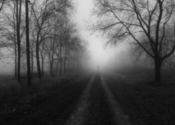 Video | Estos son los lugares más aterradores del mundo: ¿Sabías de su existencia?