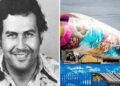 Así luce el jet privado que habría pertenecido a Pablo Escobar