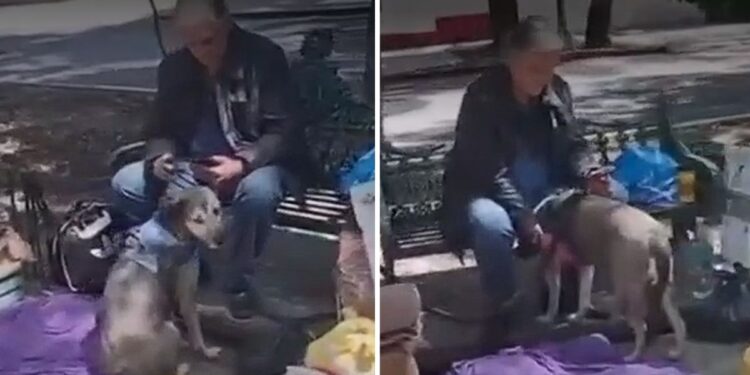 Video | Reconocido actor de televisión es visto como “habitante de calle”