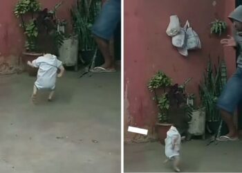 Video | ¿Evento paranormal? Muñeca que baila sola en tik tok genera curiosidad en redes