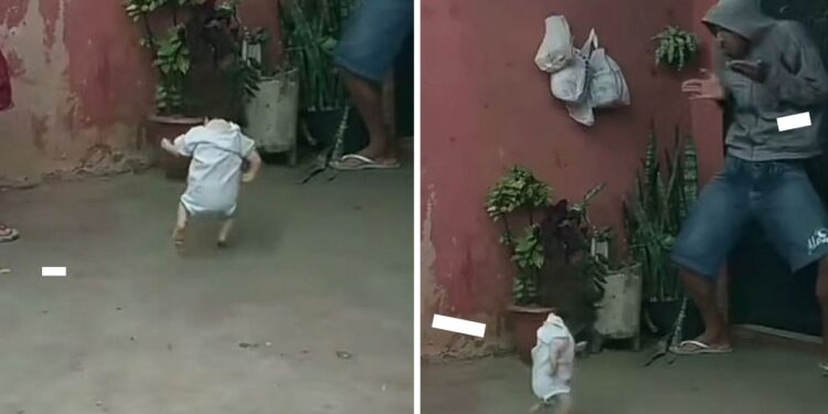 Video | ¿Evento paranormal? Muñeca que baila sola en tik tok genera curiosidad en redes