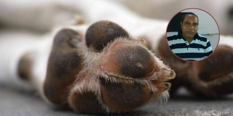 ¿Violencia? Se viraliza video en el que un concejal arrastra perrito desde una moto