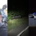 Motociclista chocó contra un búfalo y murió tras ser arrollado por un camión en la vía Cordialidad