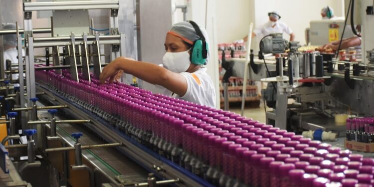 Desde enero de 2026, los trabajadores podrán tener cuatro permisos remunerados: estos son