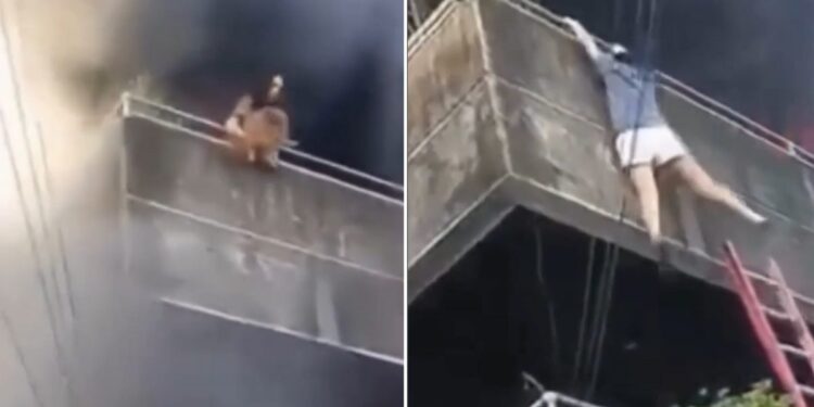 En video quedó registrado cómo una mujer salvó a sus perritos durante un incendio