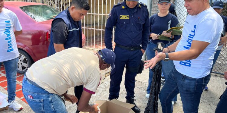 Por fin de semana de celebración de ‘Velitas’, Distrito entrega recomendaciones a la ciudadanía