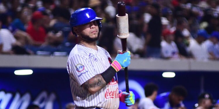 Caimanes anunció su róster para la Serie de las Américas Gran Caracas 2026