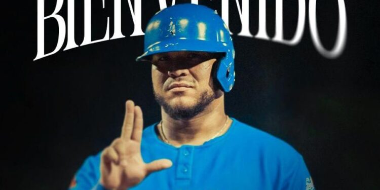 Caimanes se refuerza con una estrella para la final: el grandesligas Harold Ramírez