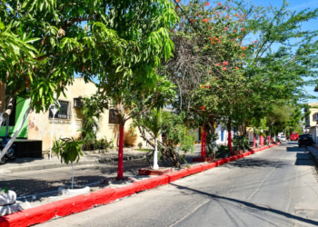 Riñas, licor y descontrol: el patrón que se repite en los bazares de Soledad