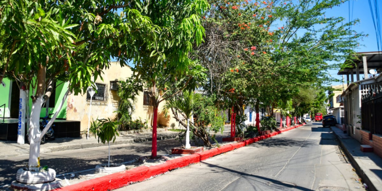 Riñas, licor y descontrol: el patrón que se repite en los bazares de Soledad