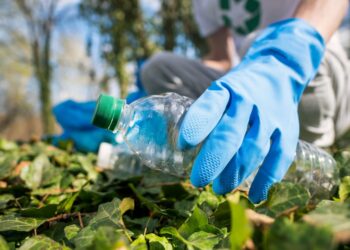 Día Mundial del Reciclador: en Colombia, cerca de 100.000 recicladores recolectan y transforman cada día residuos plásticos que se convierten en nuevos materiales y productos