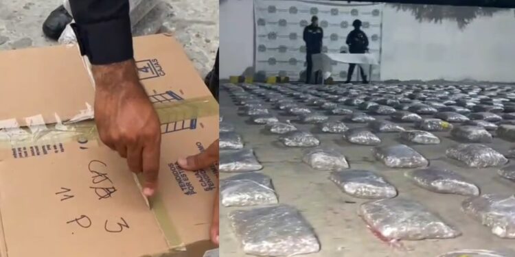 Incautan 730 kilos de marihuana en una vivienda del barrio Bella Arena: la droga pertenecería a ‘los Pepes’