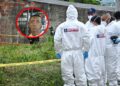 Joven de 23 años fue asesinado en La Sierrita: esto se sabe del homicidio