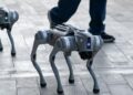 Perros robots reforzarán la seguridad durante los partidos del Mundial en norte de México