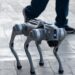 Perros robots reforzarán la seguridad durante los partidos del Mundial en norte de México