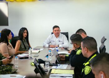 Soledad lidera Consejo de Seguridad tras atentado a líder comunal del territorio