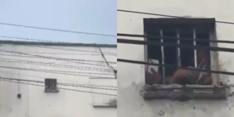 ¿Internos de la Cárcel La Modelo estaban grabando el desfile en la Vía 40? Esto es lo que se sabe