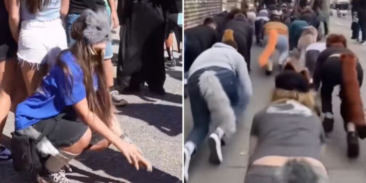 ¿Qué es un therian y por qué está llegando a Latinoamérica?