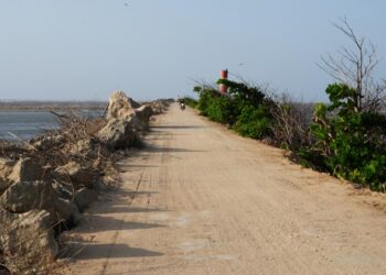 alcalde Char – Alcaldía de Barranquilla, Distrito Especial, Industrial y Portuario