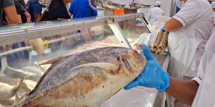 Alcaldía de Barranquilla cuenta con operativo de seguridad y entrega recomendaciones para vivir la Semana Santa – Alcaldía de Barranquilla, Distrito Especial, Industrial y Portuario