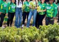 Alcaldía de Barranquilla impulsa en los barrios la siembra de frutas, hortalizas y plantas, se busca replicar huertas en toda la ciudad – Alcaldía de Barranquilla, Distrito Especial, Industrial y Portuario