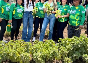 Alcaldía de Barranquilla impulsa en los barrios la siembra de frutas, hortalizas y plantas, se busca replicar huertas en toda la ciudad – Alcaldía de Barranquilla, Distrito Especial, Industrial y Portuario
