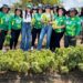 Alcaldía de Barranquilla impulsa en los barrios la siembra de frutas, hortalizas y plantas, se busca replicar huertas en toda la ciudad – Alcaldía de Barranquilla, Distrito Especial, Industrial y Portuario