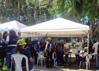 Alcaldía interviene la “Casa de los Gatos” para evaluar situación de los animales