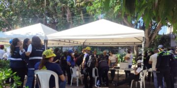 Alcaldía interviene la “Casa de los Gatos” para evaluar situación de los animales