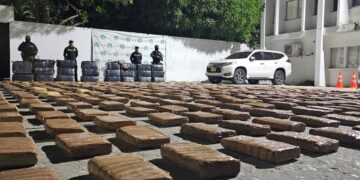 Autoridades incautan 1.282 kilogramos de marihuana en una vivienda del barrio Sinaí