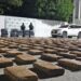 Autoridades incautan 1.282 kilogramos de marihuana en una vivienda del barrio Sinaí
