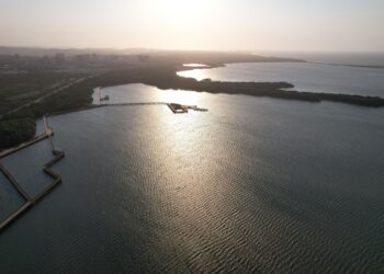 Con 100 Guardianes de la Biodiversidad, Barranquilla cuida sus ecosistemas naturales – Alcaldía de Barranquilla, Distrito Especial, Industrial y Portuario