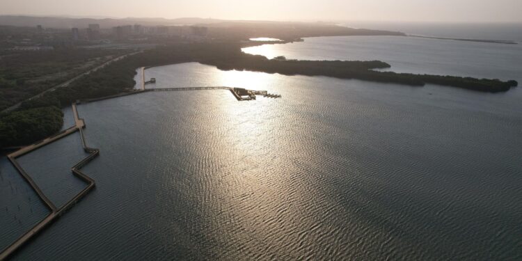 Con 100 Guardianes de la Biodiversidad, Barranquilla cuida sus ecosistemas naturales – Alcaldía de Barranquilla, Distrito Especial, Industrial y Portuario