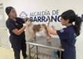 Con acompañamiento y atención integral, Distrito ratifica acciones para el bienestar de las personas y animales rescatados en predio intervenido – Alcaldía de Barranquilla, Distrito Especial, Industrial y Portuario