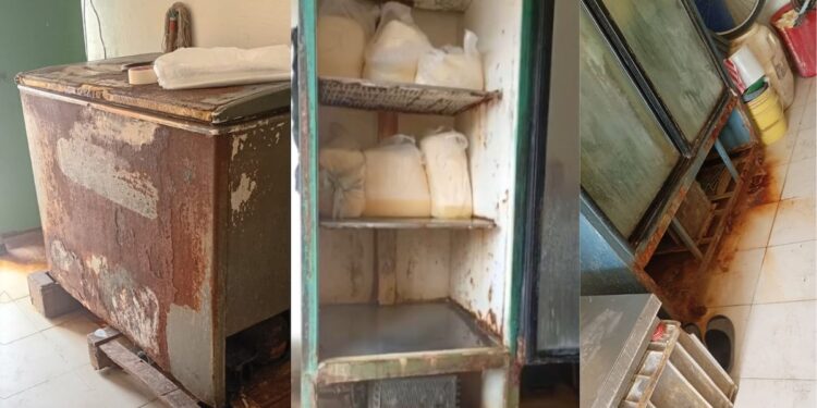 Decomisan y destruyen 52 kilos de queso en local de Soledad por inadecuado tratamiento alimentario