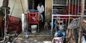 Más de 70 animales han sido rescatados por el Distrito y autoridades en la ‘Casa de los Gatos’