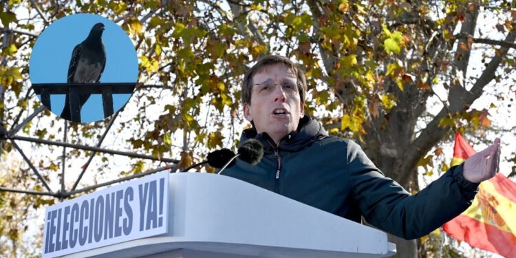 Paloma interrumpe discurso dejándole una ‘sorpresita’ al alcalde