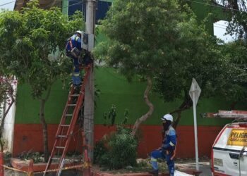 Sancionan a licorera con cierre provisional por hurto de energía en Soledad — NoticiasBQ