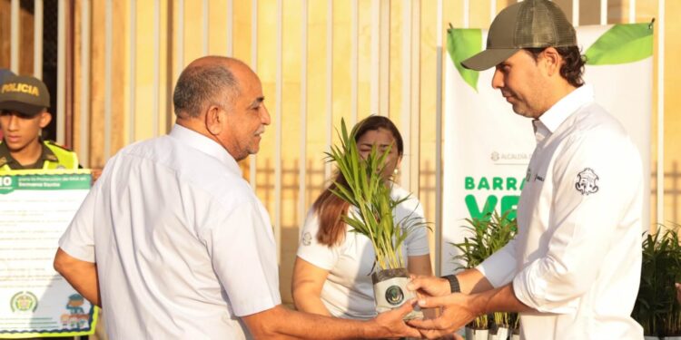 ¡Domingo de Ramos verde en Barranquilla! 12.000 plántulas impulsan tradición sostenible