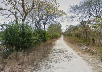 Balean a un hombre en zona enmontada del barrio Las Camelias, Sabanalarga